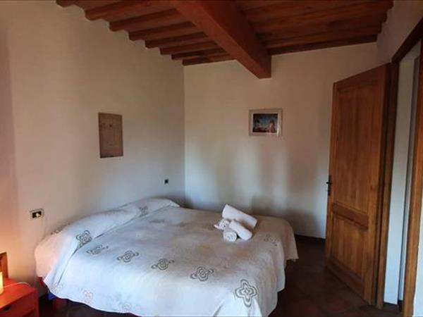 Fattoria Lischeto - foto 51225.jpg