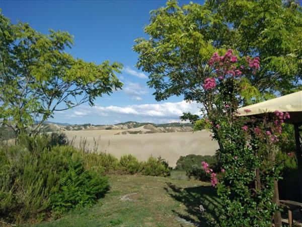 Fattoria Lischeto - foto 51226.jpg