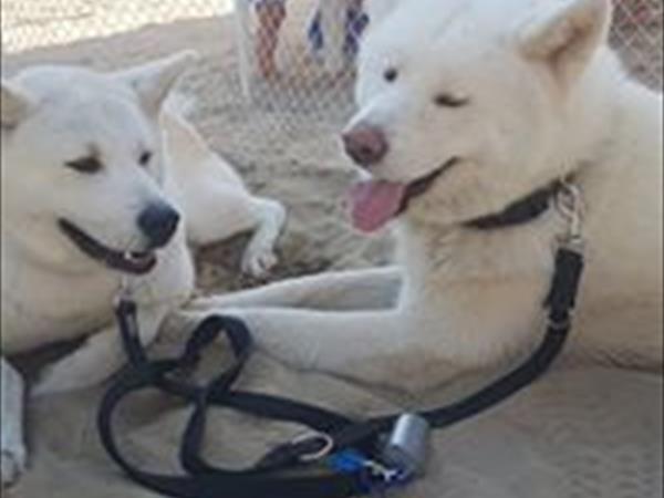 Hotel Imperiale - foto 51229.jpg