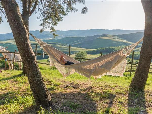 Fattoria Lischeto - foto 51236.jpg