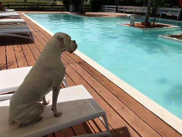 Casolare Le Civette - foto 51266.jpg