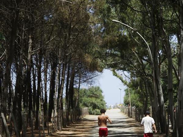 Vascellero Club Resort - foto 51343.jpg