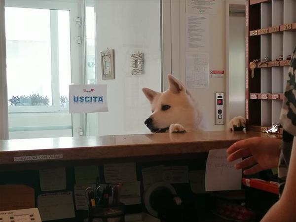 Mini-Hotel - foto 51356.jpg