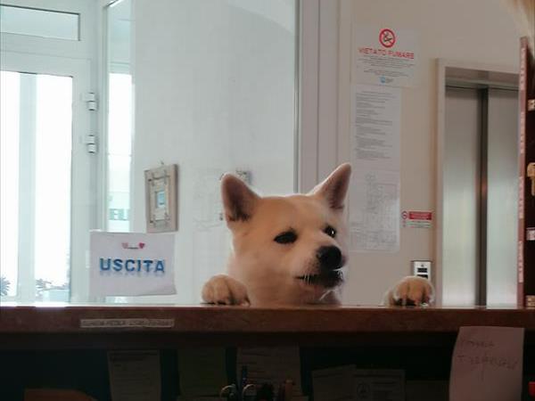 Mini-Hotel - foto 51358.jpg