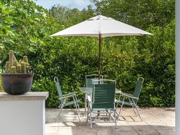 Il grillo e la cicala  - foto 51370.jpg