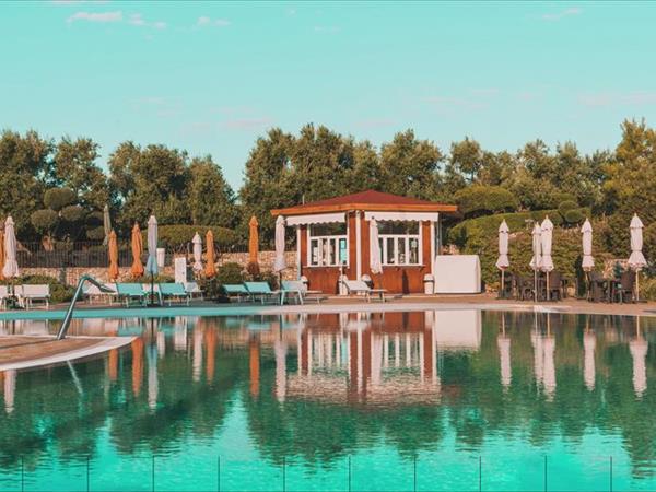 Brezza tra gli ULIVI - foto 51434.jpg