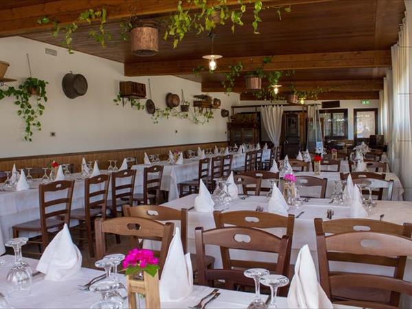 Brezza tra gli ULIVI - foto 51435.jpg