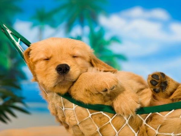 Grand Hotel Elba International - foto 51463.jpg