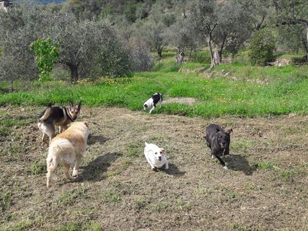 B&B Casa KaRa - foto 51483.jpg