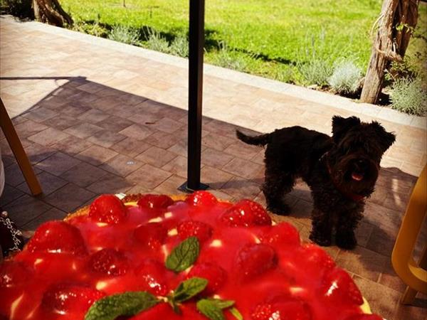 La Scortica - foto 51560.jpg