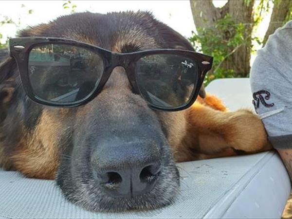 Casolare Le Civette - foto 51612.jpg