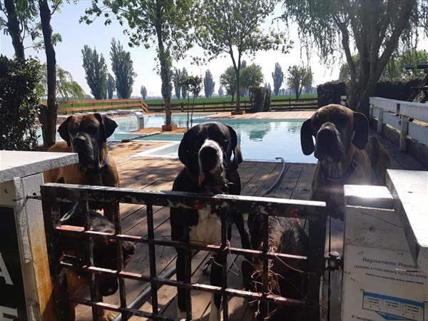 Casolare Le Civette - foto 51619.jpg