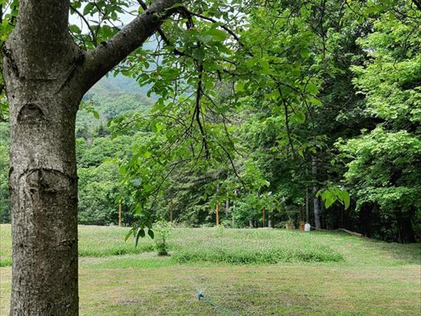 Villino nel Bosco - foto 51634.jpg