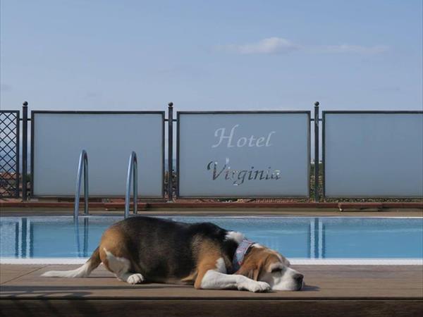 Hotel Virginia - foto 51675.jpg