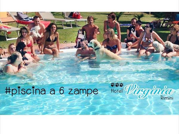 Hotel Virginia - foto 51676.jpg