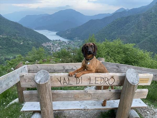 C� Alice... Cuccia e Relax al Lago di Ledro - foto 51681.jpg