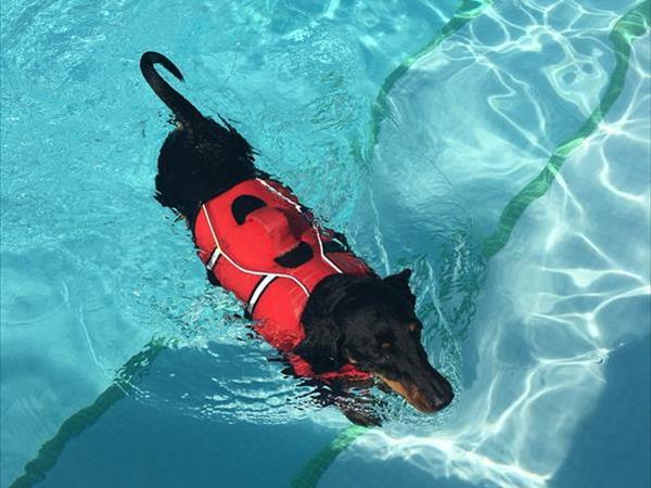 Hotel Virginia - foto 51682.jpg