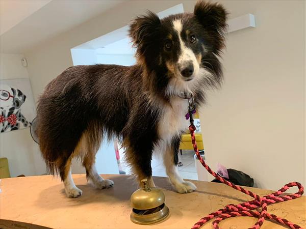 Hotel Virginia - foto 51683.jpg