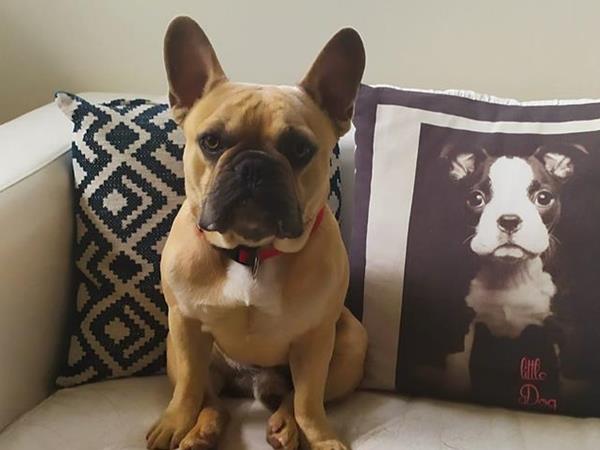 Hotel Virginia - foto 51684.jpg