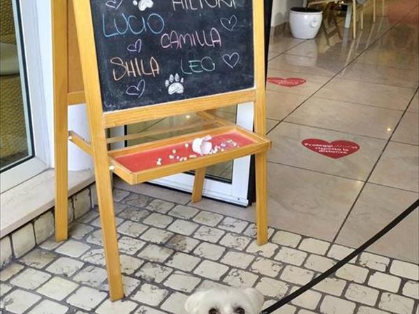 Hotel Virginia - foto 51685.jpg