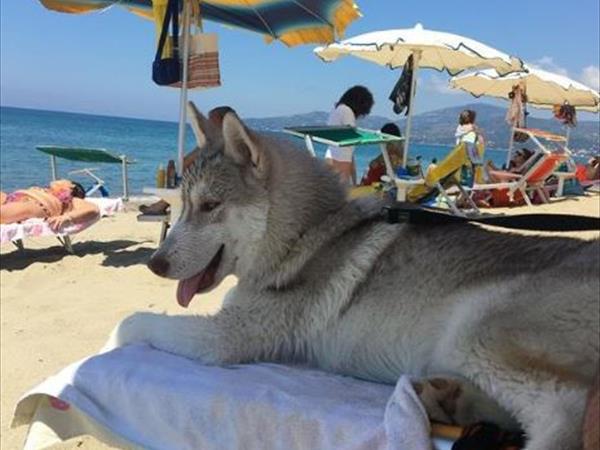 Hotel Villa Maredona - foto 51713.jpg