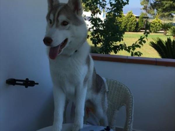 Hotel Villa Maredona - foto 51715.jpg