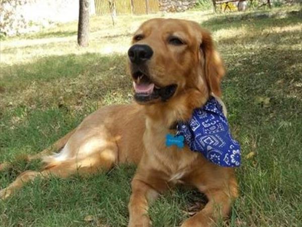 Podere Sortoiano - foto 51751.jpg