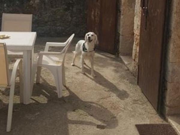 Podere Sortoiano - foto 51752.jpg