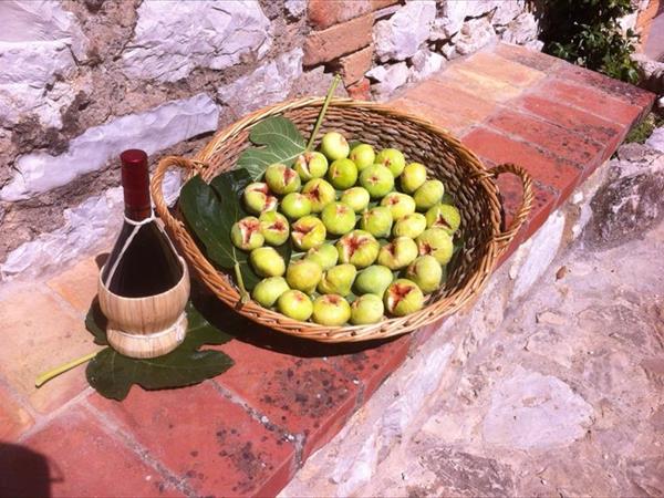 Agriturismo Borgo Spante - foto 51833.jpg