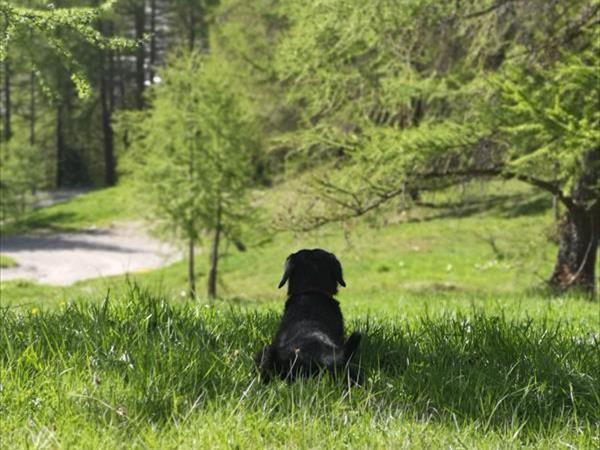 Hotel Galli - foto 51883.jpg