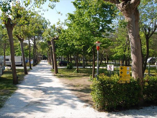 Club del Sole Italia Family Camping Village - foto 51895.jpg