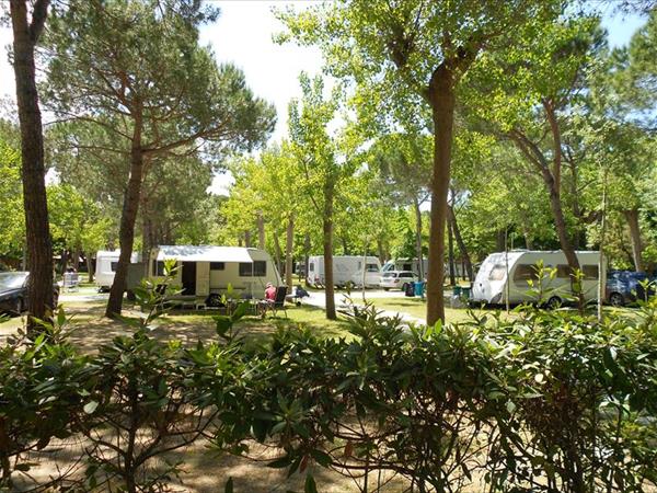 Club del Sole Italia Family Camping Village - foto 51897.jpg