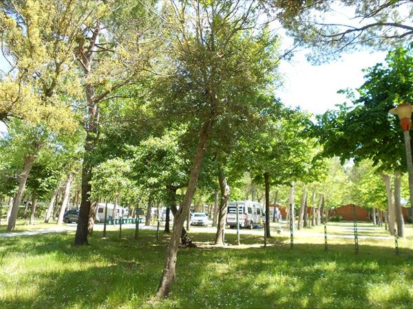 Club del Sole Italia Family Camping Village - foto 51898.jpg