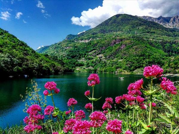 La Casa del Sole - foto 51980.jpg