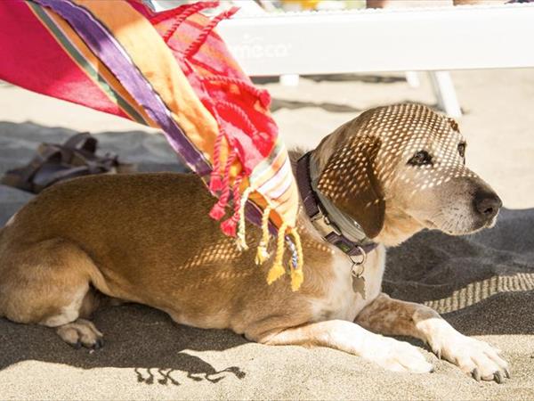 Gitavillage Club Degli Amici - foto 52003.jpg