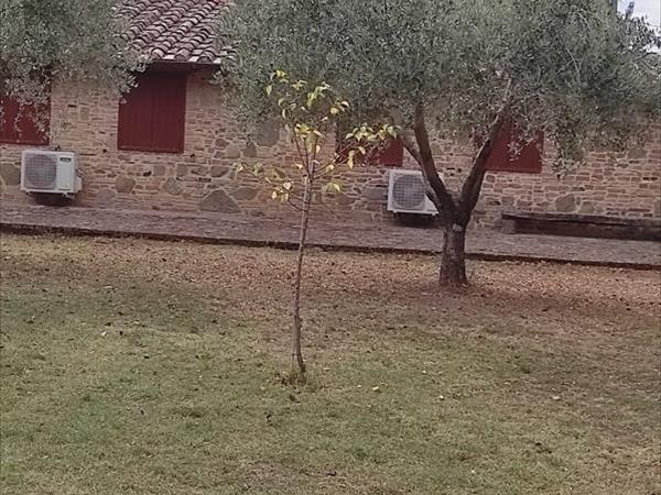 Podere La Vecchia Fornace - foto 52144.jpg