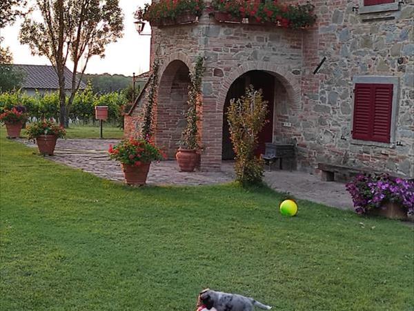 Podere La Vecchia Fornace - foto 52149.jpg