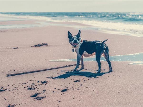 Club del Sole Tenuta Primero Resort - foto 52167.jpg