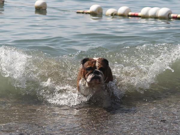 Baba Glamp - foto 52201.jpg