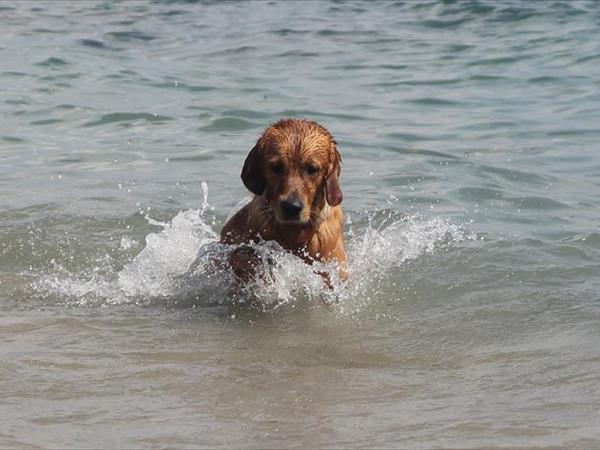 Baba Glamp - foto 52203.jpg