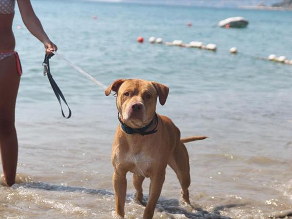 Baba Glamp - foto 52204.jpg