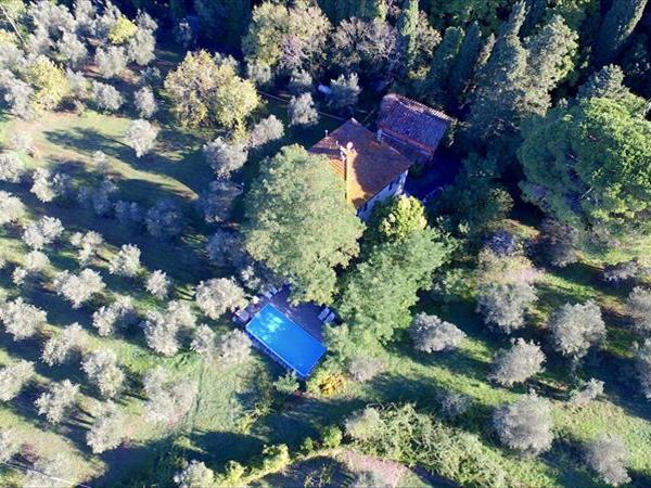 Agriturismo Tenuta di Ghizzano - foto 52230.jpg