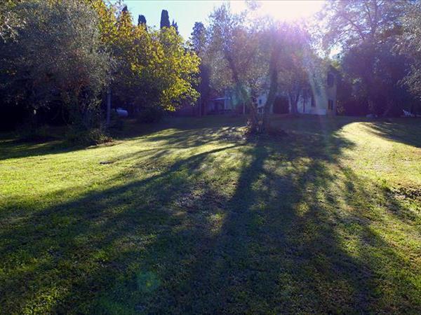 Agriturismo Tenuta di Ghizzano - foto 52231.jpg