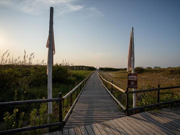 Camping Waikiki - foto 52247.jpg