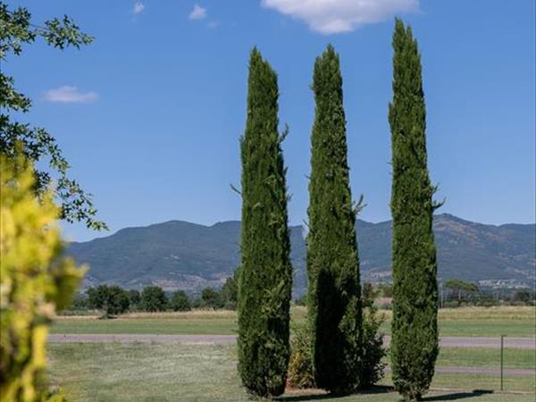 Residence Serristori - foto 52250.jpg