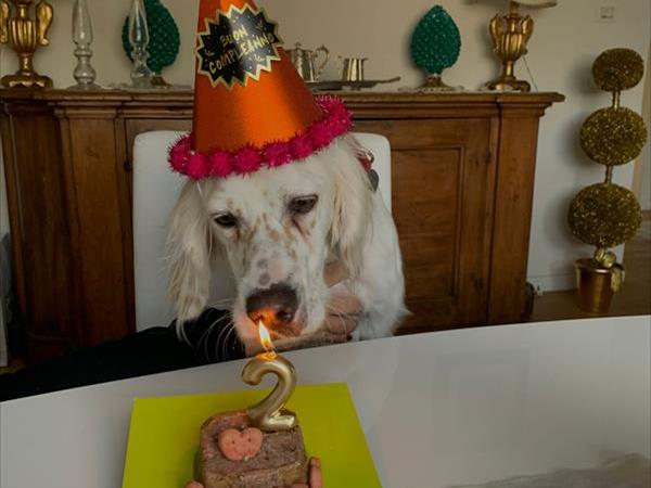 Hotel Imperiale - foto 52254.jpg