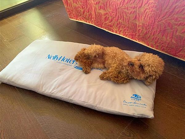 Hotel Imperiale - foto 52259.jpg