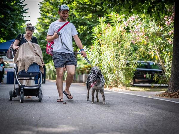 Centro Vacanze Villaggio San Francesco - foto 52263.jpg