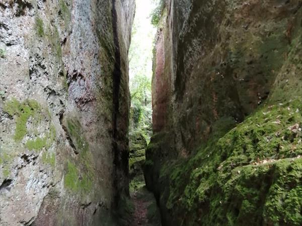 La Torretta - foto 52297.jpg