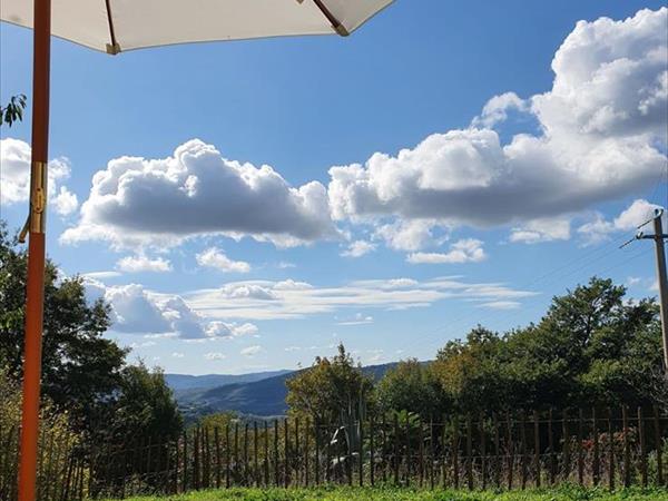 La Torretta - foto 52300.jpg